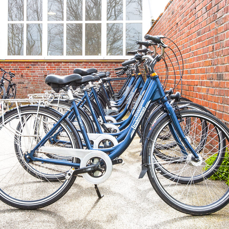 Fahrrad Lindemann Verkauf Service